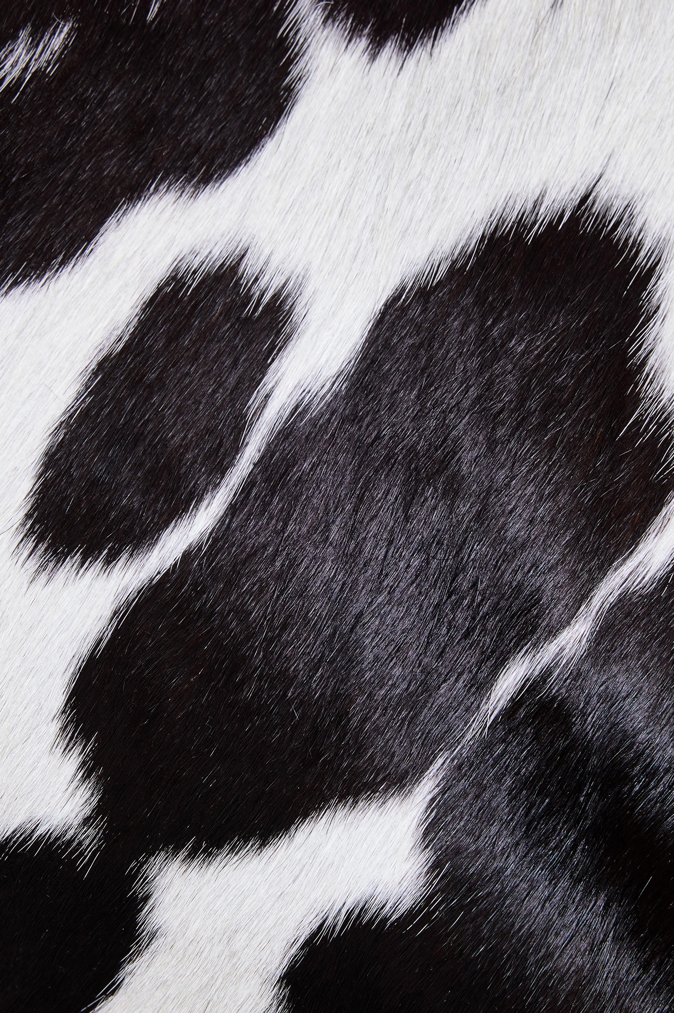 LUCCA SHOULDER BAG - COWGIRL HAIRCALF - Image 4